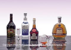 Learn how to professionally prepare over 125 drinks at our Saint Louis Bartending School!