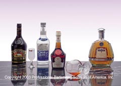 Learn how to professionally prepare over 125 drinks at our San Francisco, California Bartending School!