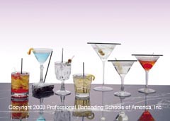 Learn how to professionally prepare over 125 drinks at the Orlando Bartending School located in Altamonte Springs, Florida.